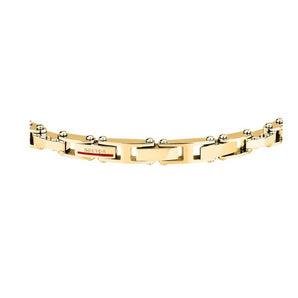 BRACCIALE SECTOR ENERGY