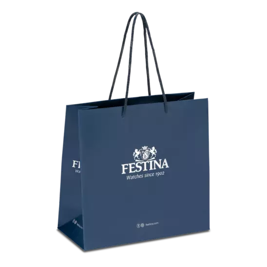 Festina Mademoiselle F16868/1 Argento